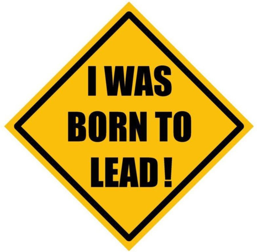 Fantaboy I Was Born To Lead! Sides Car Sticker
